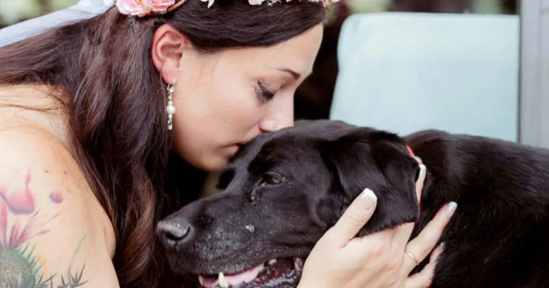 Kisah Anjing dengan Tumor Otak Menunggu Majikannya Menikah