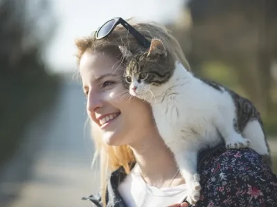 manfaat memeluk kucing