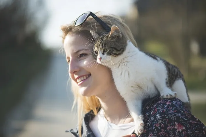 5 Alasan Memeluk Kucing Bermanfaat Baik Untukmu