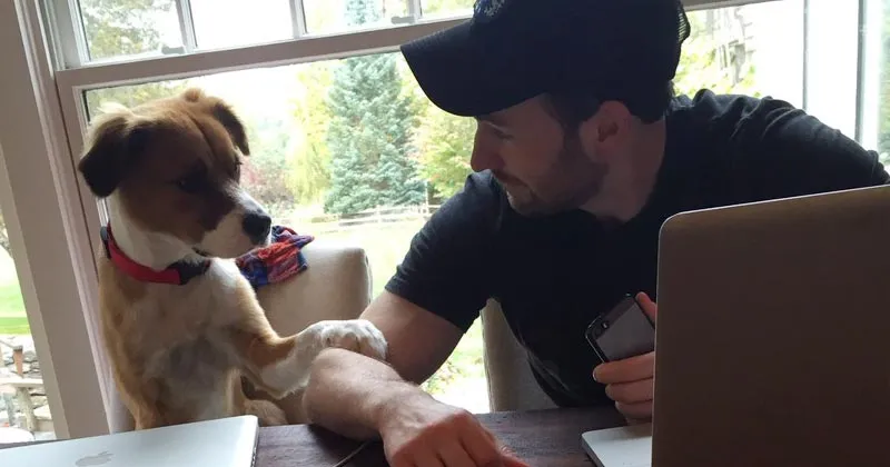 Kecintaan Chris Evans Terhadap Anjingnya Bakal Bikin Hatimu Meleleh