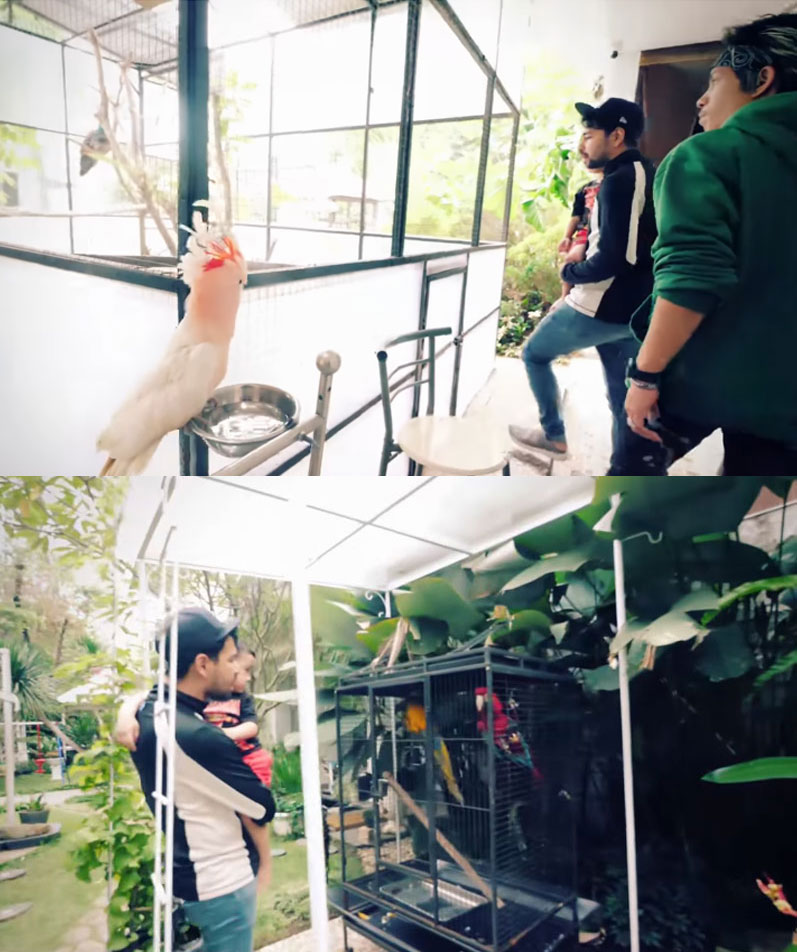 rumah-raffi-ahmad