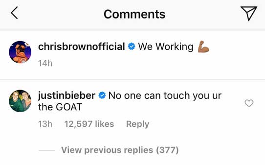 CHRIS-BROWN-DITANGKAP-1