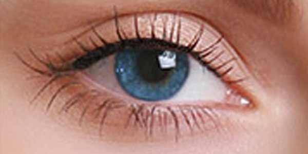 no-liner