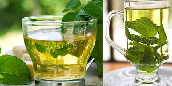 teh-spearmint