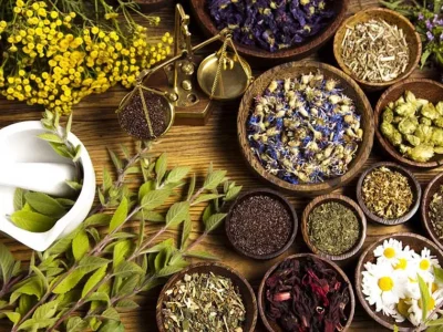 kelebihan-obat-herbal-1