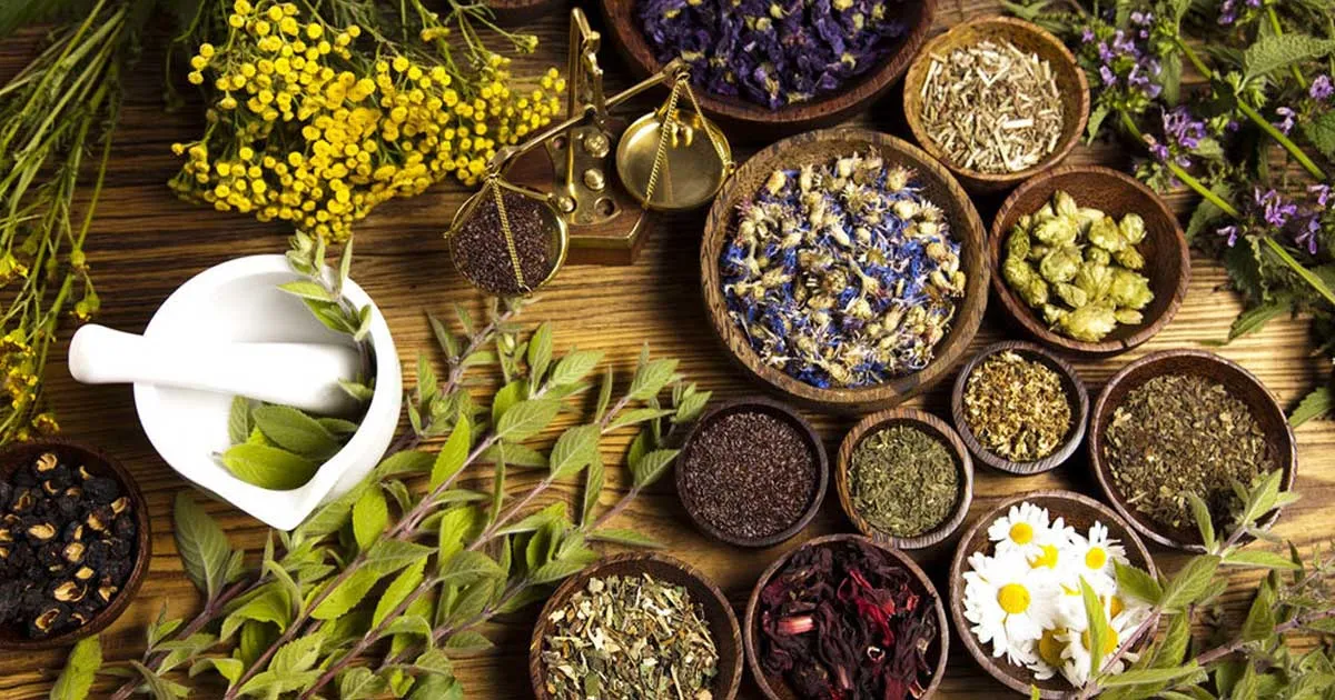 Nyatanya Obat Herbal Tak Kalah dengan Obat Kimia