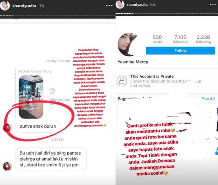 Shandy Aulia lapor polisi