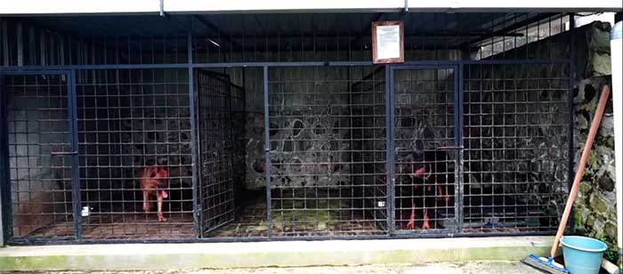 Rumah Dodit Mulyanto