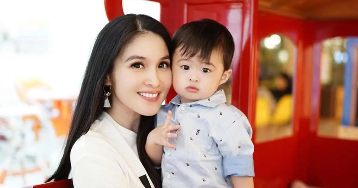 Diam-diam Anak Sandra Dewi Punya Jet Pribadi