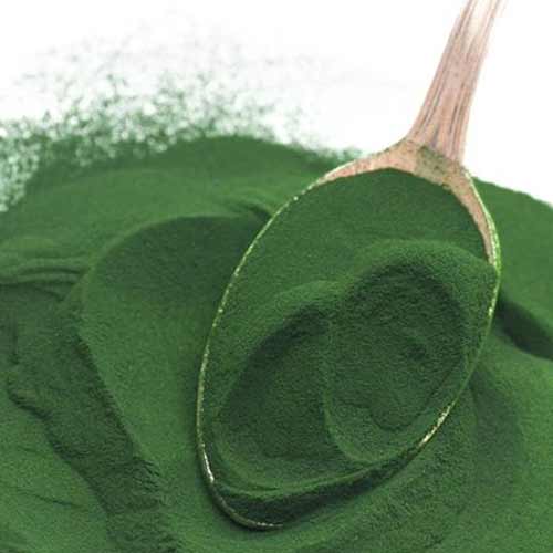 spirulina-1