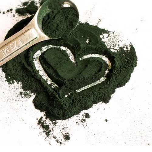 spirulina-5
