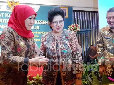 tanaman hidroponik atasi anemia