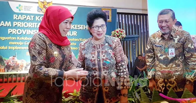 Tanaman Hidroponik jadi Senjata Ampuh Atasi Anemia