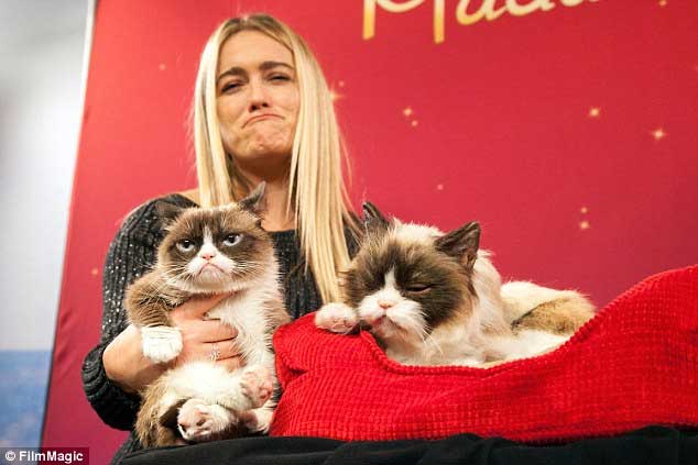patung-grumpy-cat