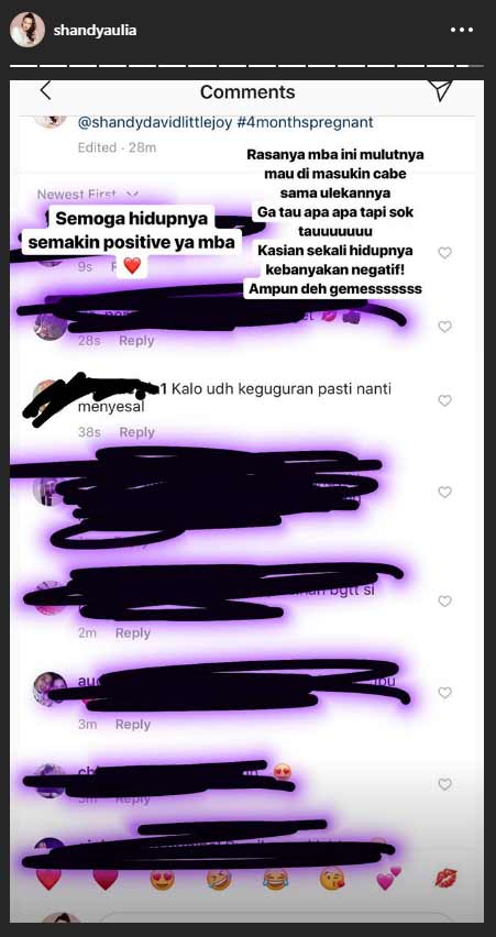 insta-story-shandy-aulia