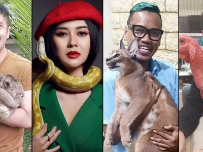 koleksi-hewan-eksotis-artis