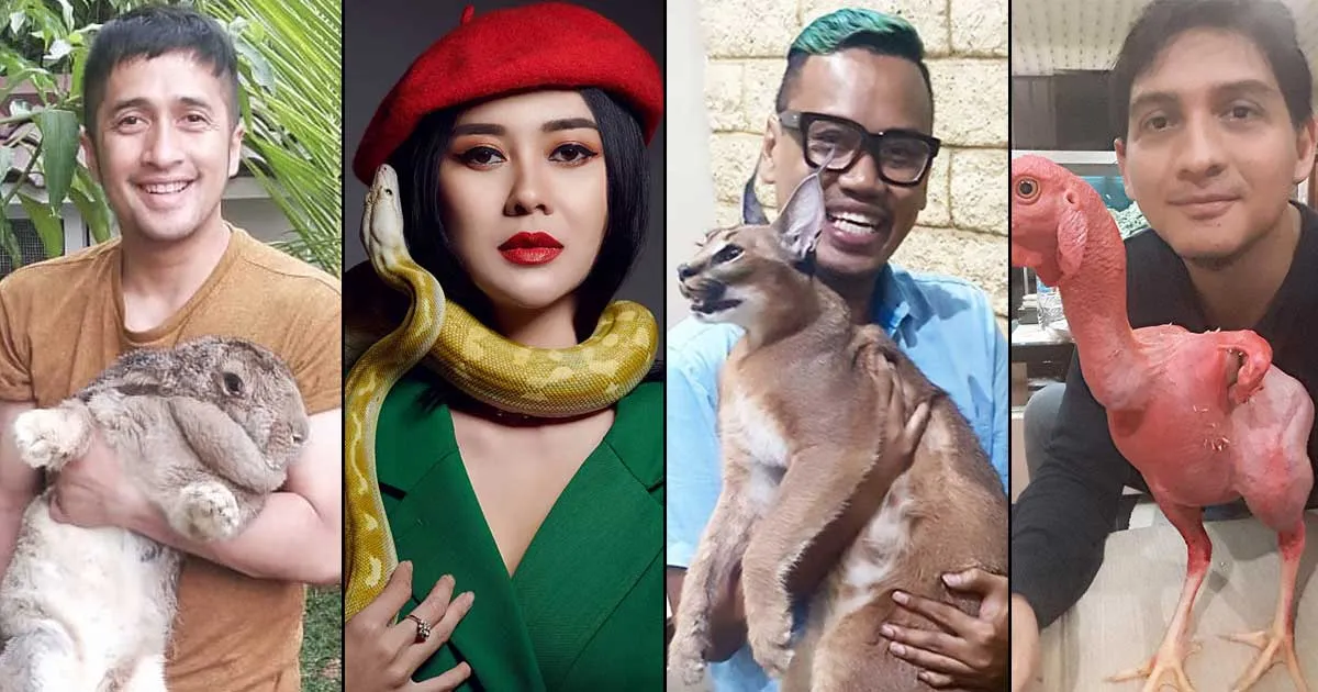6 Artis Ini Koleksi Hewan Eksotis yang Unik Abis, Yuk Intip!