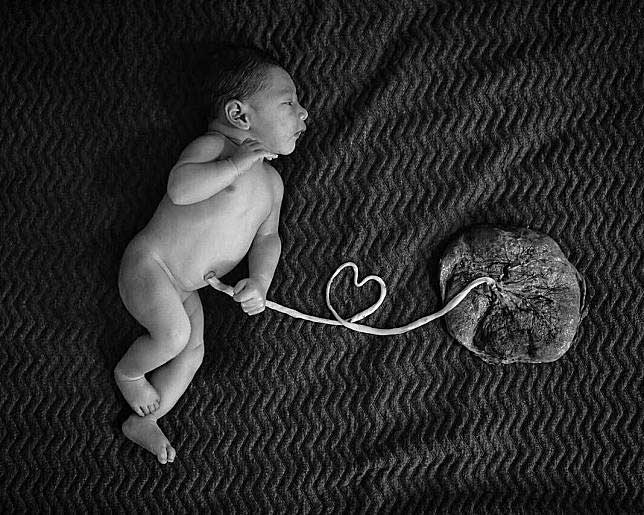 pemotretan-anak-andien-aisyah-lotus-birth