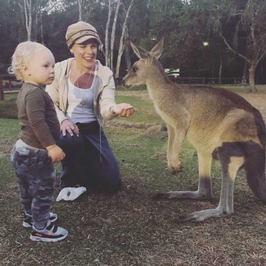 pink-donasi-untuk-australia
