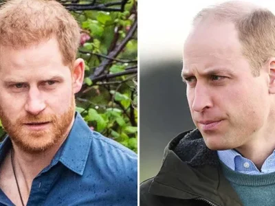 pangeran-william-dan-harry-konflik