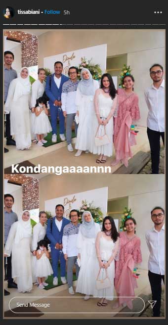 dhini-aminarti-dan-dimas-seto