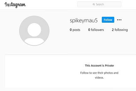 instagram-pangeran-harry