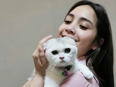 kucing-nagita-slavina