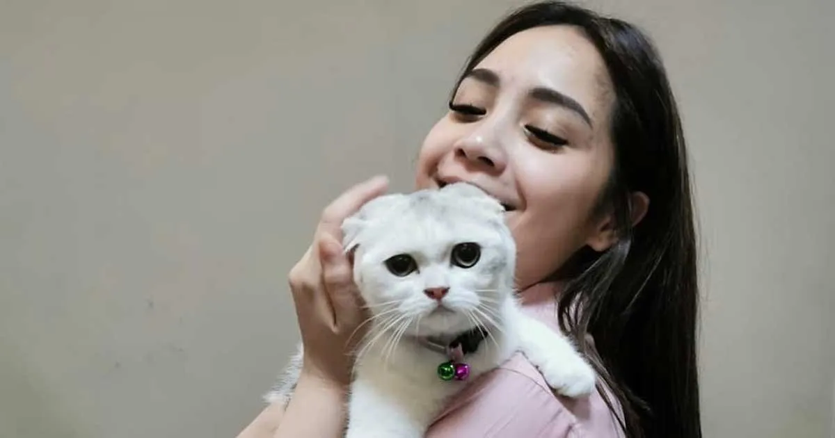 Wow, Kucing Nagita Slavina Punya Paspor dan Dipasang Microchip!