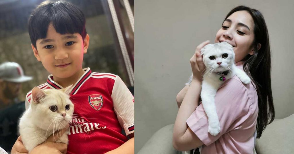 kucing-rafathar-dan-nagita-slavina