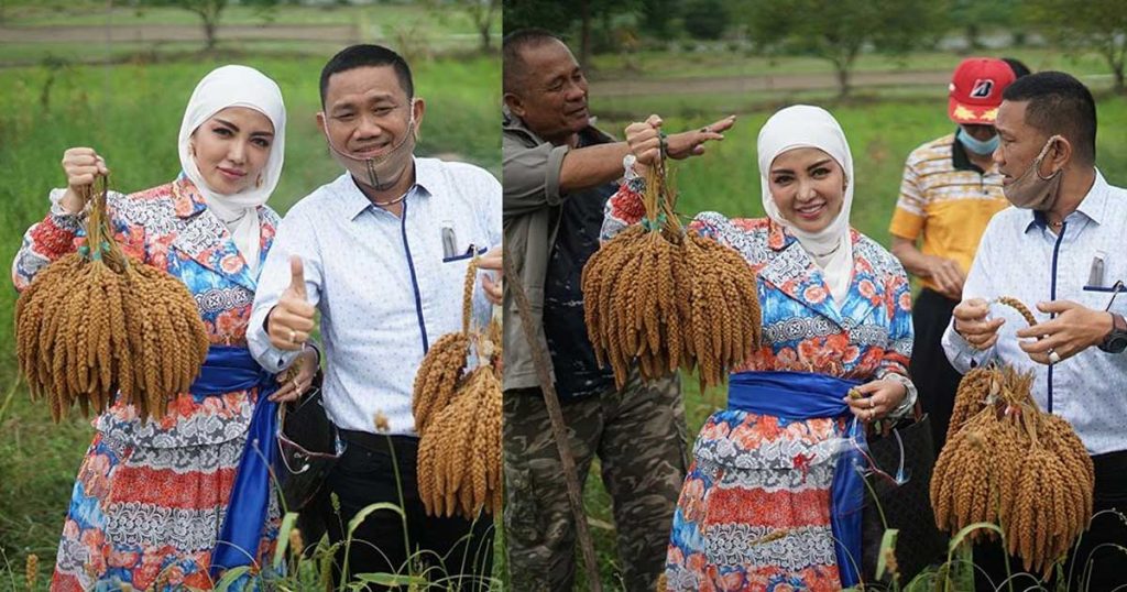 bella-shofie-padi-hotong