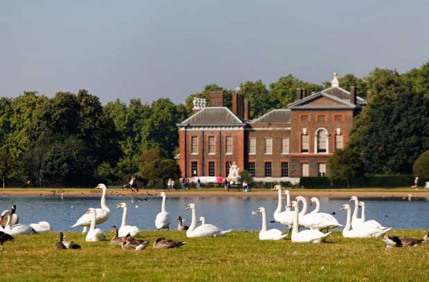 jasad-di-depan-rumah-kate-middleton-dan-pangeran-william