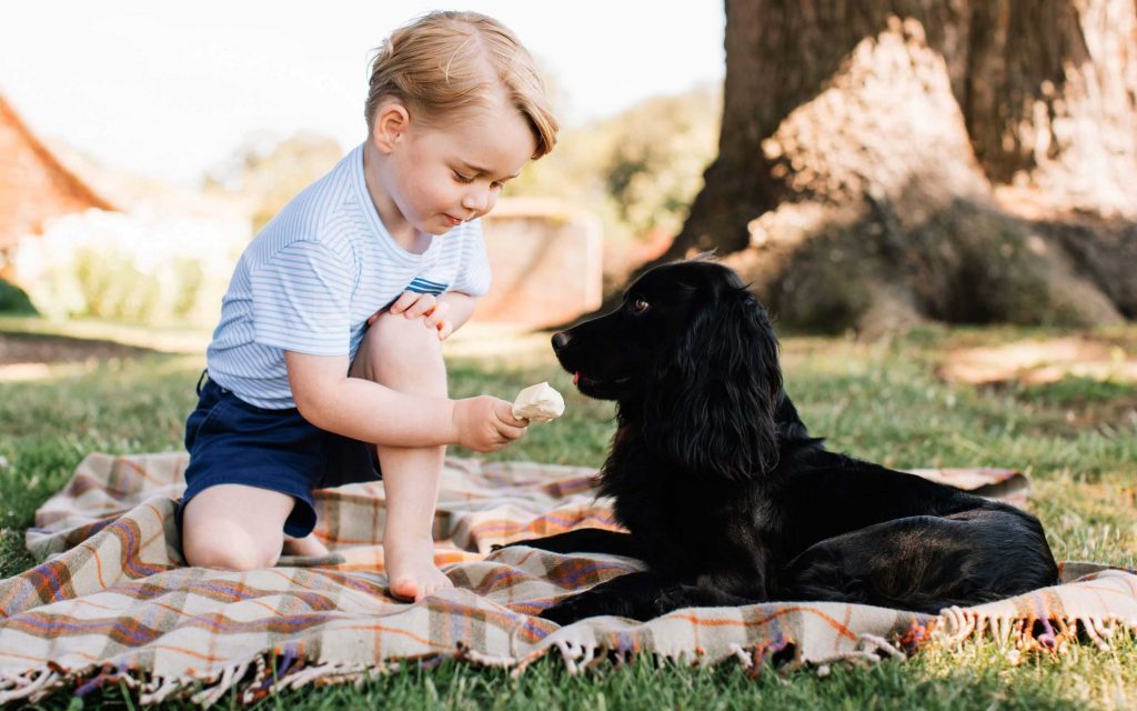 1-anjing-pangeran-william-dan-kate-middleton-lupo-mati