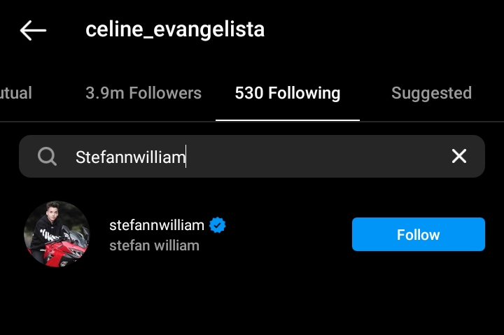 celine-evangelista-hapus-foto-stefan-william