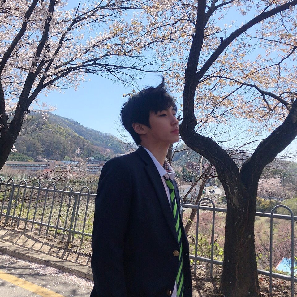 karir-hwang-in-yeop