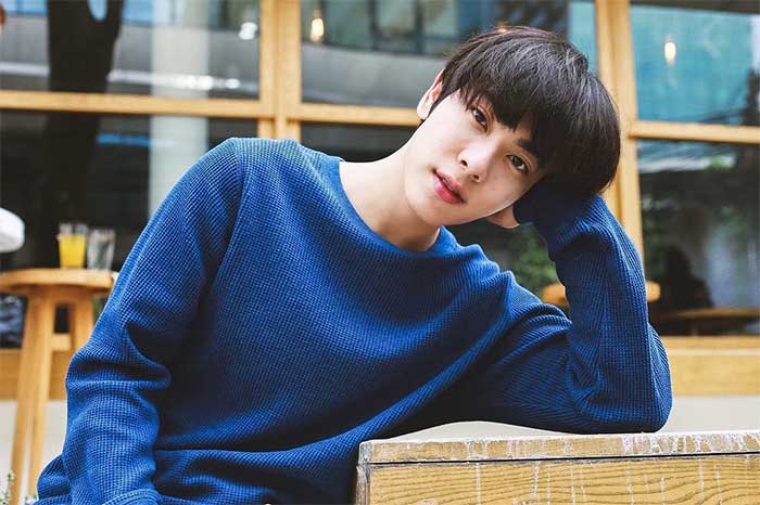 Kembaran Jin BTS