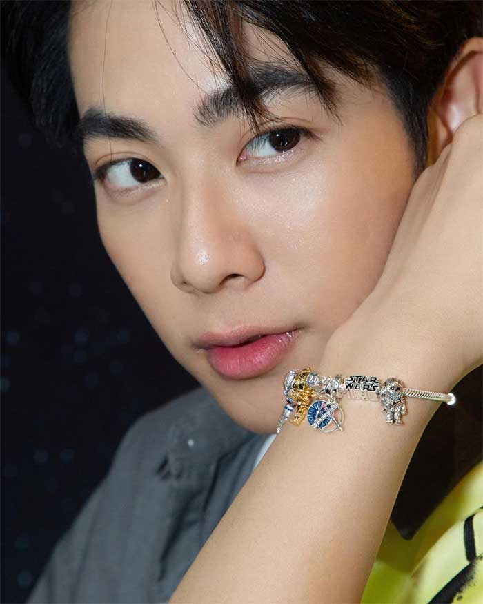 Kembaran Jin BTS