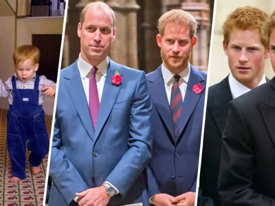 william-harry