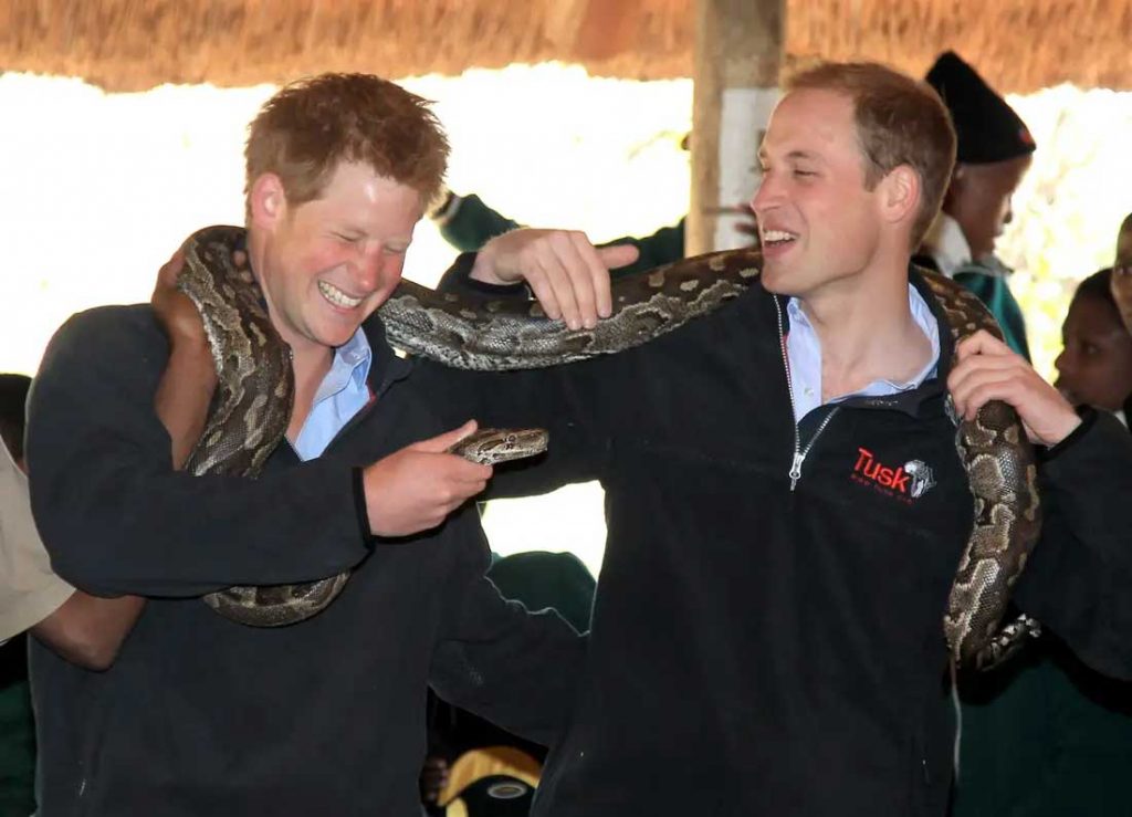 william-harry-kompak