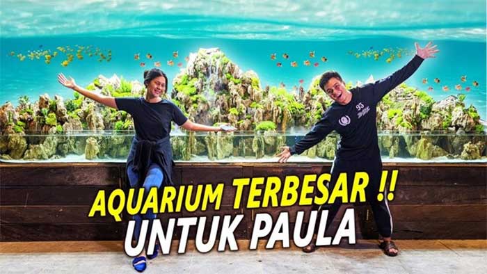 Akuarium seleb