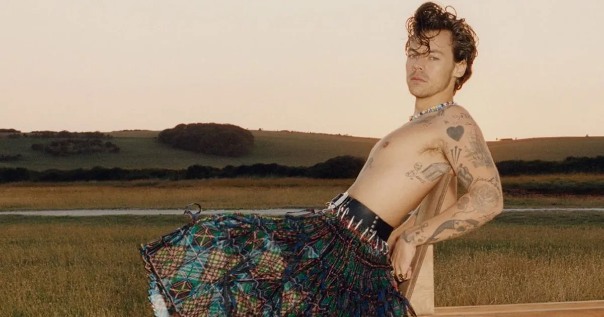 Harry Styles LGBT?
