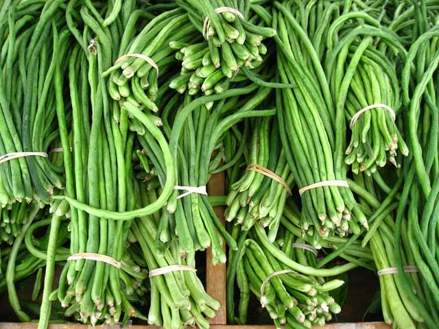 kacang panjang cara menghilangkan bau petai