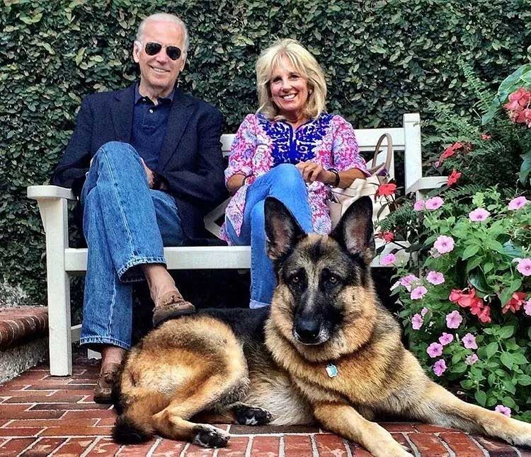 anjing-joe-biden-mati