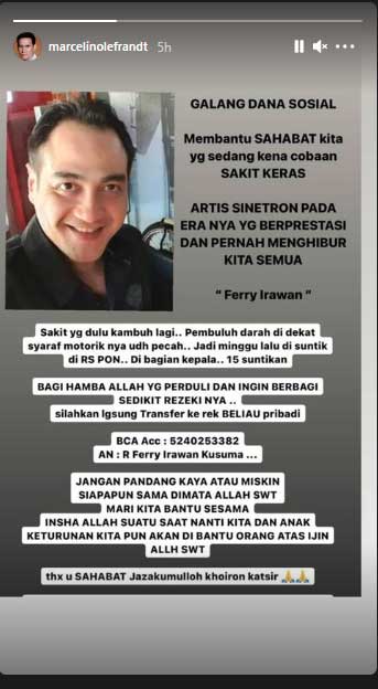 ferry irawan pesinetron sakit keras