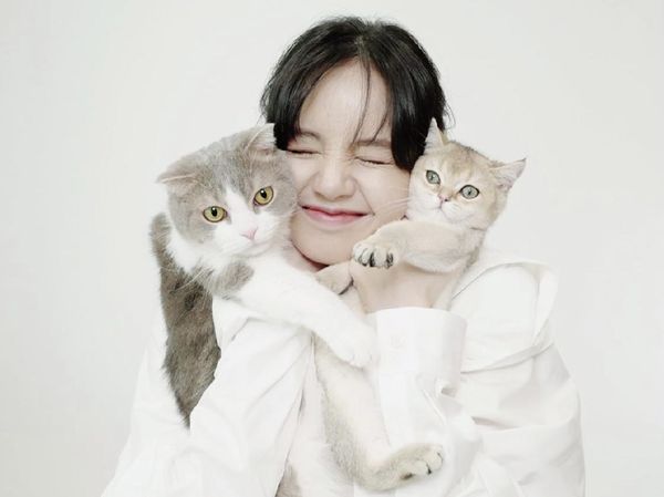 kucing lisa blackpink 1