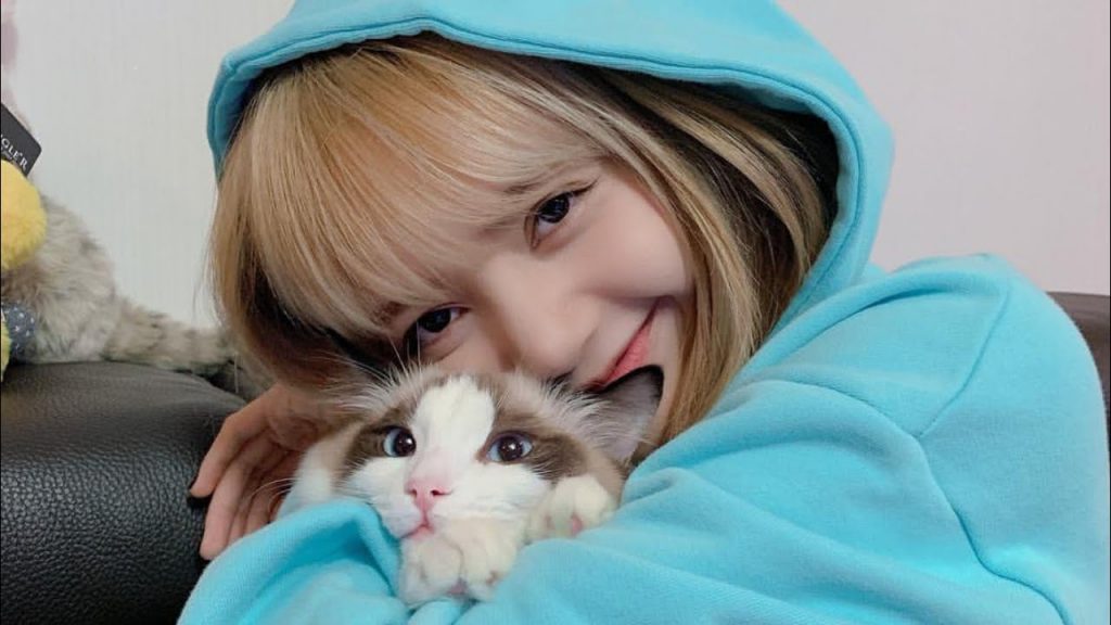 kucing lisa blackpink 2