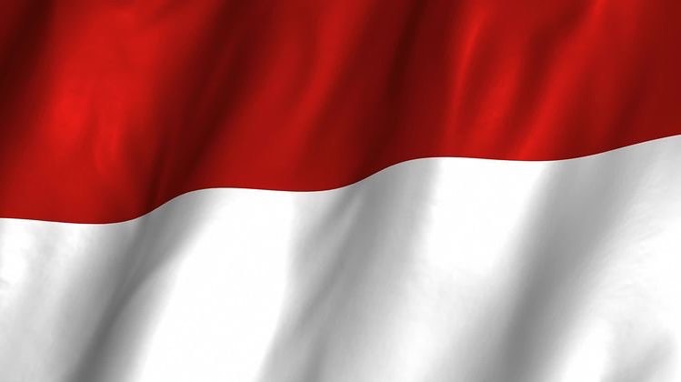 andre sleigh jihane almira lecehkan indonesia