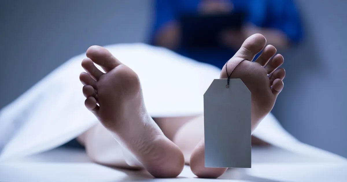Pria Asal Korea Selatan Bekukan Jasad Ibu. Alasannya Bikin Geleng Kepala