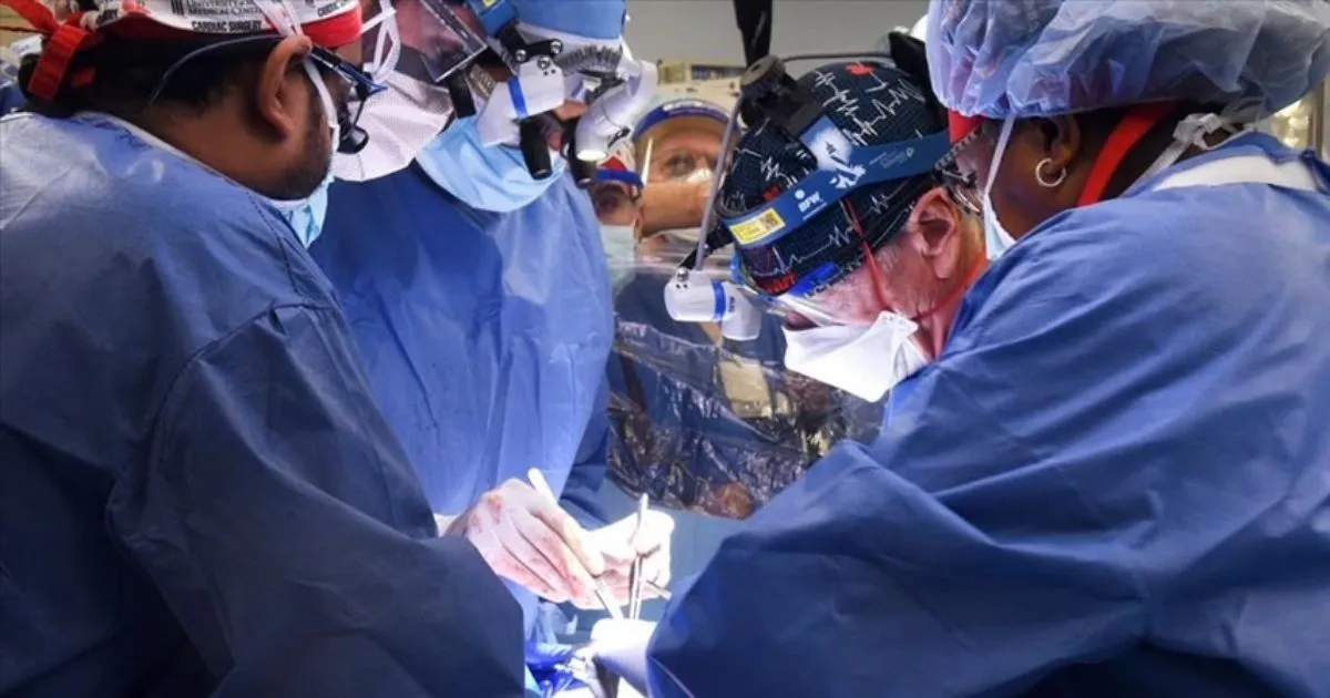 Ini Manusia Pertama yang Mendapat Transplantasi Jantung Babi