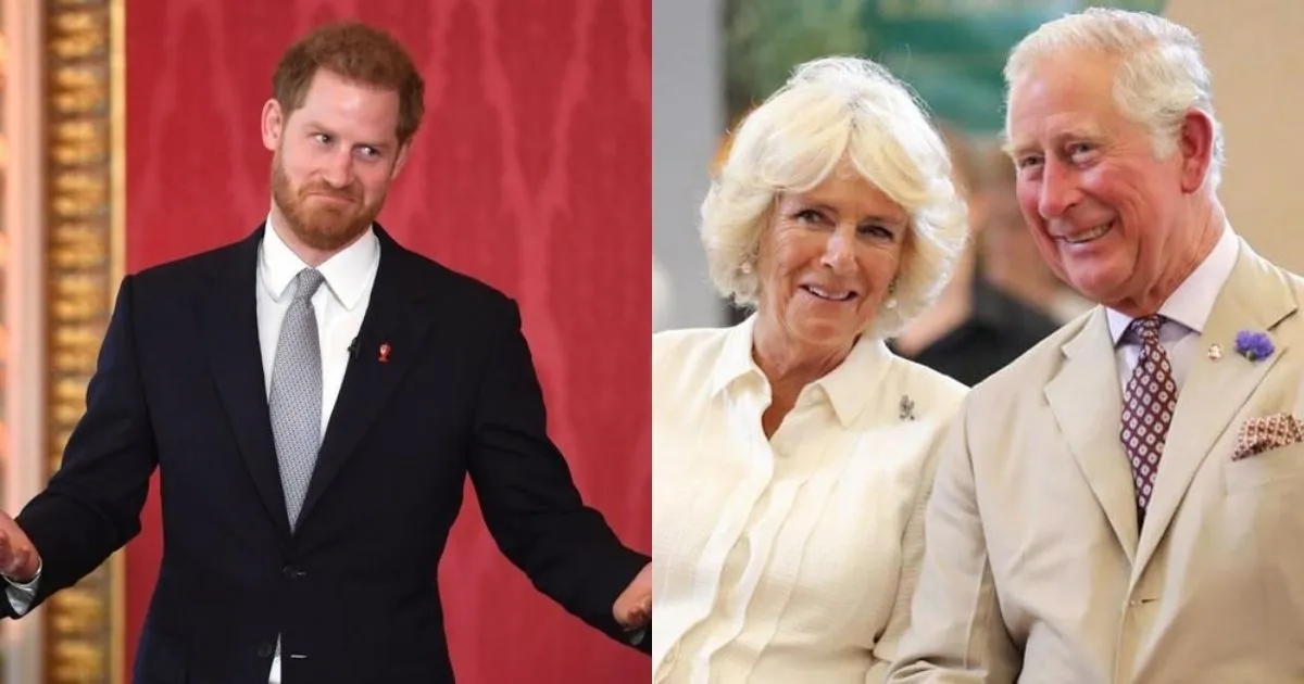 Pangeran Harry Bikin Memoar, Pangeran Charles Meradang. Khawatir Tahta Camilla Dicopot?
