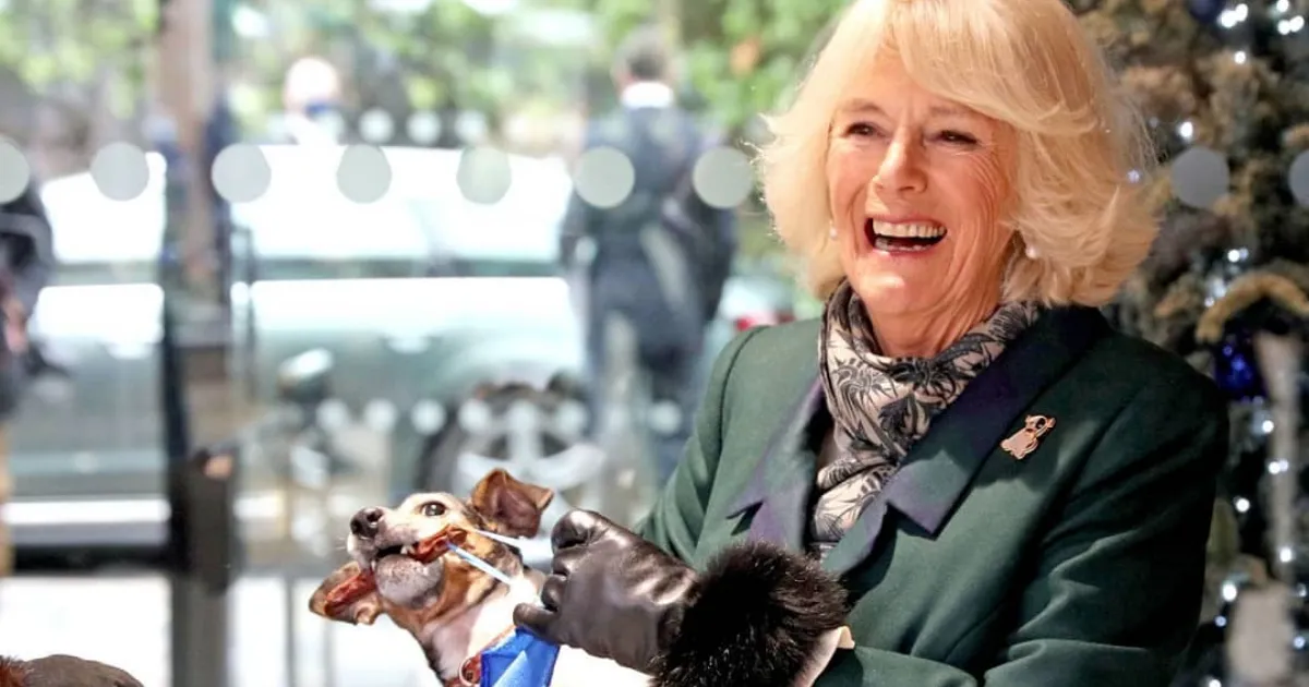 Camilla Akan Mengenakan Mahkota Bertahta Berlian Koh-i-Noor Jika Resmi Jadi Ratu Inggris